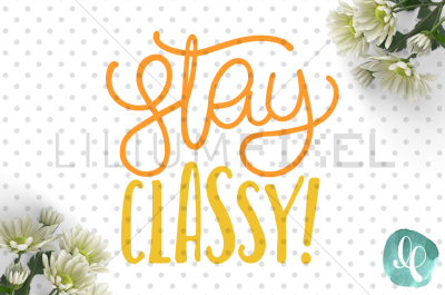 Stay Classy / Girl 