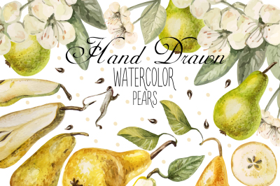 Hand drawn watercolor PEARS