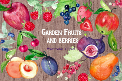 Garden fruits and berries. Watercolor clipart.