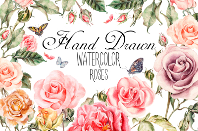 Hand drawn watercolor roses