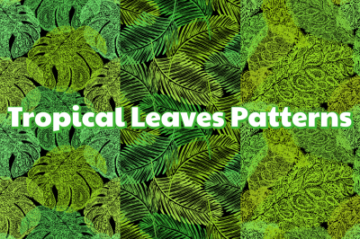TROPICAL Leaves Patterns