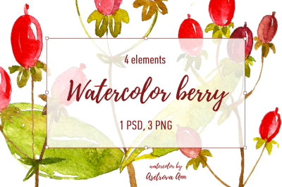Watercolor berry