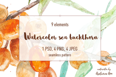 Watercolor sea buckthorn