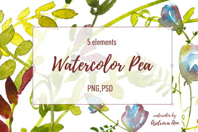 Watercolor Pea Set