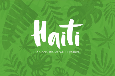 Haiti Organic Brush Font +Extras