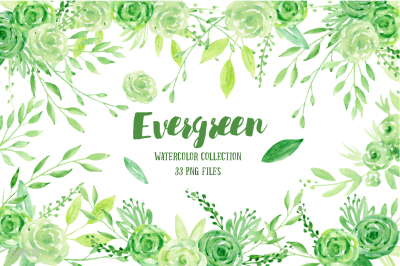 Watercolor Clipart Evergreen