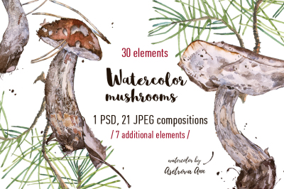 Watercolor  mushrooms