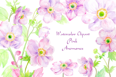 Watercolor Clipart Anemone