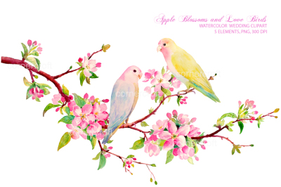 Watercolor Clipart Apple Blossom Love Birds