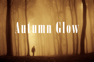 Autumn Glow Lightroom Presets