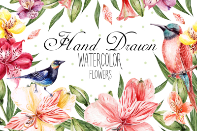 Hand Drawn Watercolor Flowers Alstroemeria 