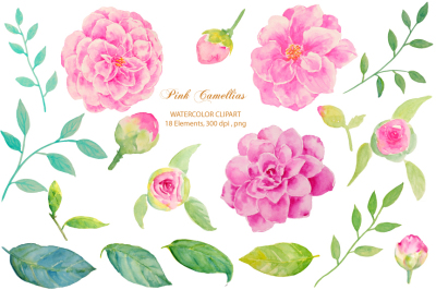 Wedding Clipart Pink Camellia 