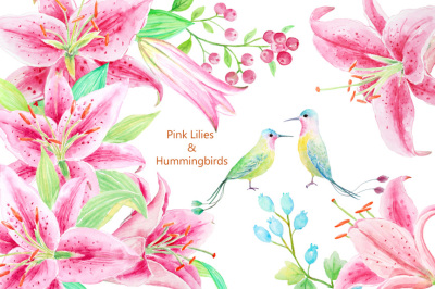 Watercolor Pink Lily &Humming Birds