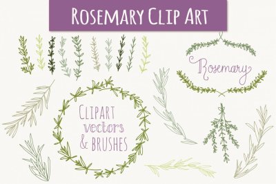 Rosemary Clip Art & Vectors