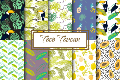 Toucan in Jungle Seamless Patterns
