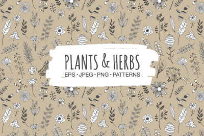 Plants &amp; Herbs