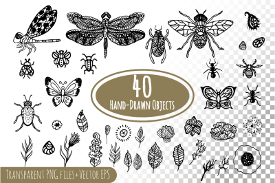 Hand-drawn ink insects and patterns