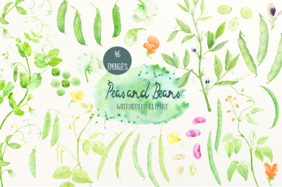 Watercolor Vegetable Peas and Beans