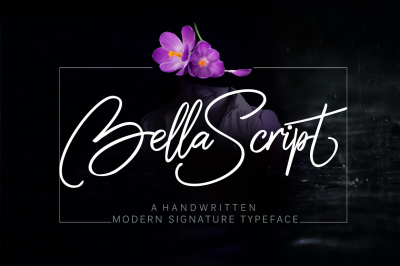 bella script + swash