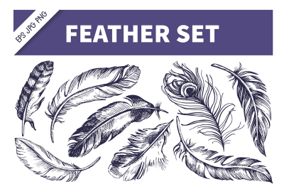 Feather Hand Drawn Sketch Vector Set