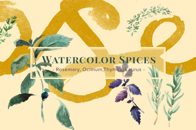 + Watercolor Spices for cooking +
