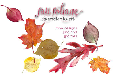 Fall Foliage Watercolor Illustrations