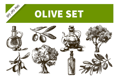 Olive Hand Drawn Sketch Vector Set