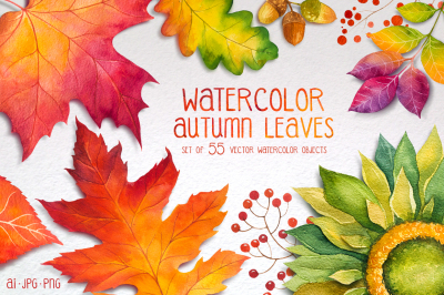 Autumn leaves. Watercolor set.