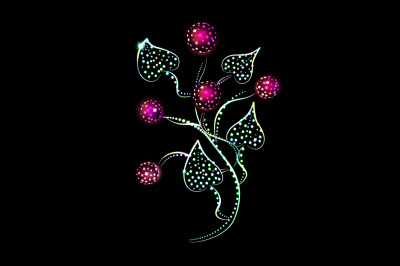 The image of a bright luminous is a fantastic branch with berries and leaves on a black background, jpeg 300 dpi