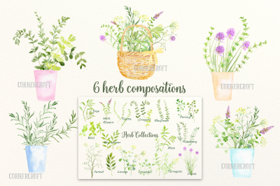 Watercolor Herb Collections