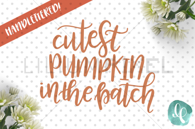  Cutest Pumpkin in the Patch / SVG PNG JPEG DXF