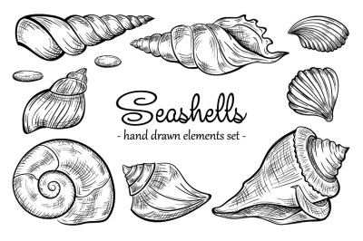 Seashells black and white set