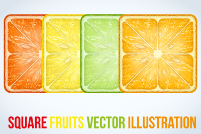 Set of icons Square fruits slices