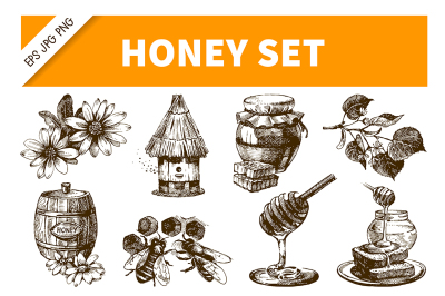Honey Hand Drawn Vecctor Set