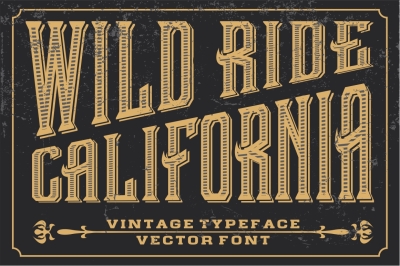 Wild Ride California -  vector letters