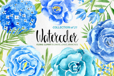 Watercolor blue flowers and floral elements