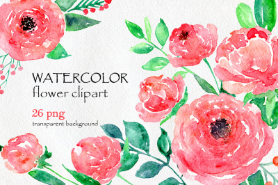 Watercolor flowers red pink peony PNG