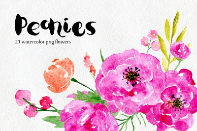 Watercolor flowers peony, floral set