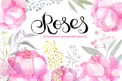 Watercolor pink roses PNG floral clipart