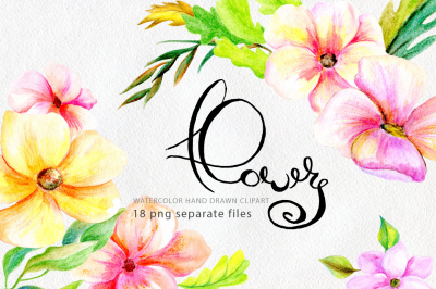 Pencil & watercolor floral clip art (flowers, leaves)