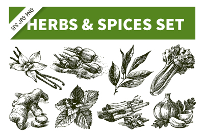 Herbs & Spices Hand Drawn Sketch Vector Set