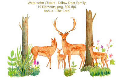 Watercolor Fallow Deer Family