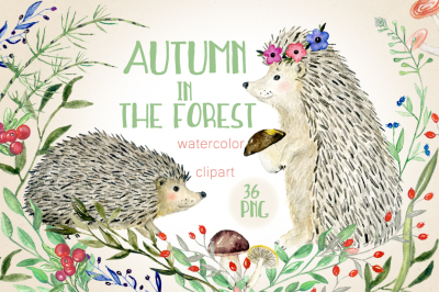 Autumn in the forest. Watercolor  clipart set