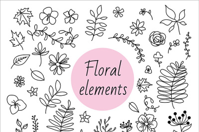 Hand drawn floral elements
