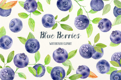 Watercolor Clipart Blueberries