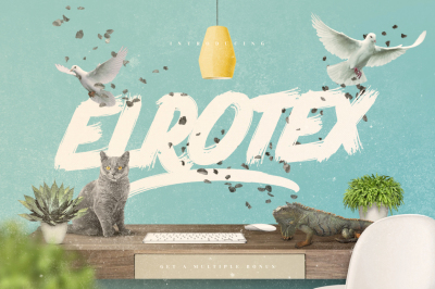 Elrotex Brush Font