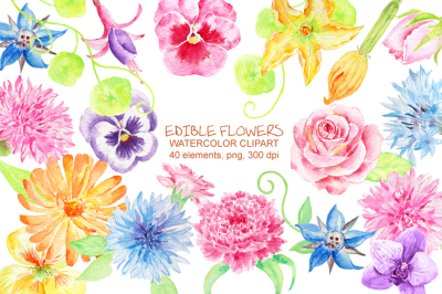 Watercolor Edible Flowers Clipart