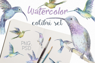 Watercolor colibri set