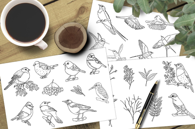Sketch birds. Vector set.