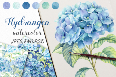 Watercolor blue hydrangea